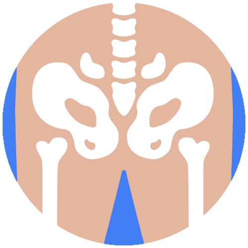 hip and pelvis services